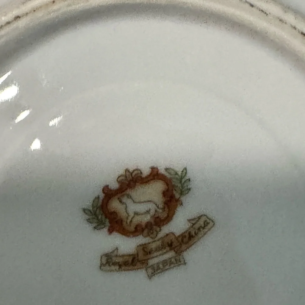 Royal White China tea cup and saucer black with pink floral